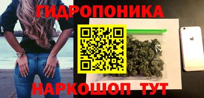 стаф Кандалакша