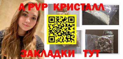 стаф Кандалакша