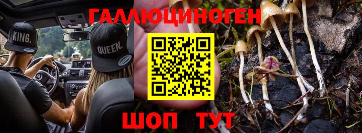 Отрадное  Галлюциногенные грибы Psilocybine cubensis  Псилоцибиновые грибы ЛСД  Вход с VPN 